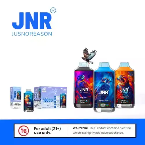 Ist die JNR Falcon-X 18000 Puffs wiederaufladbar