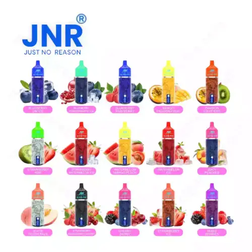 JNR Alien Pod 13000 Puff – Langanhaltender Genuss