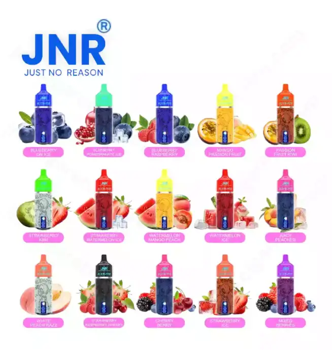 JNR Alien Pod 13000 Puff – Langanhaltender Genuss