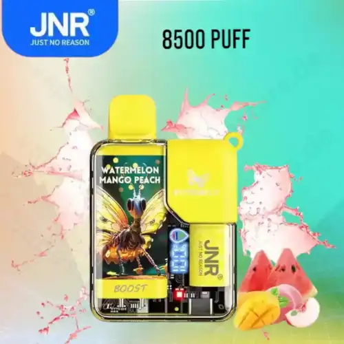 JNR Butterfly 8500 Puff – Digitales Display Einweg-Vape