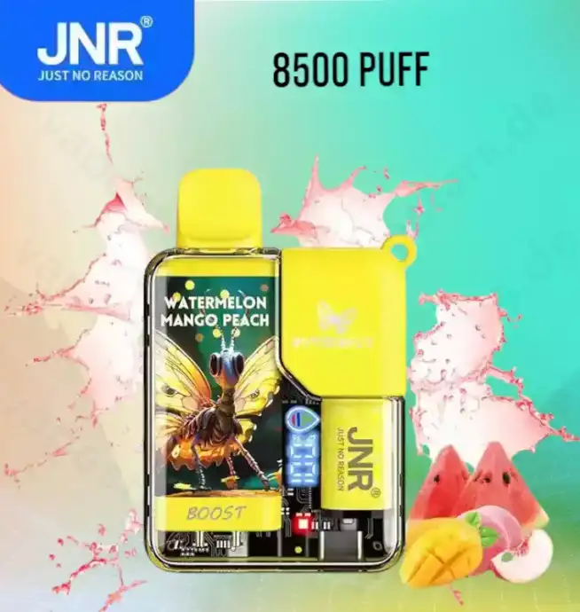 JNR Butterfly 8500 Puff – Digitales Display Einweg-Vape