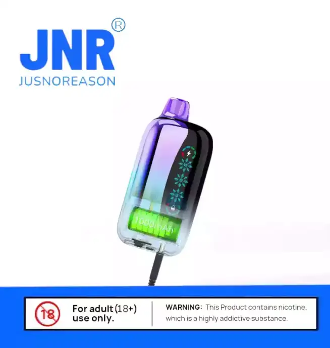 JNR FLEX ICE 21000 PUFF Einweg Vape