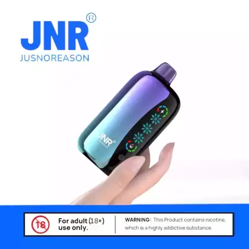 JNR FLEX ICE 21000 PUFF Einweg Vape