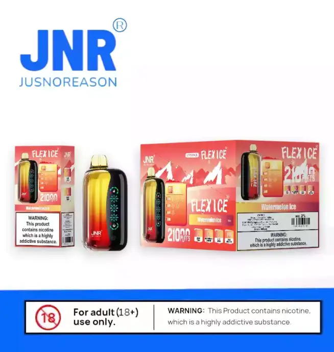 JNR FLEX ICE 21000 PUFF Einweg Vape