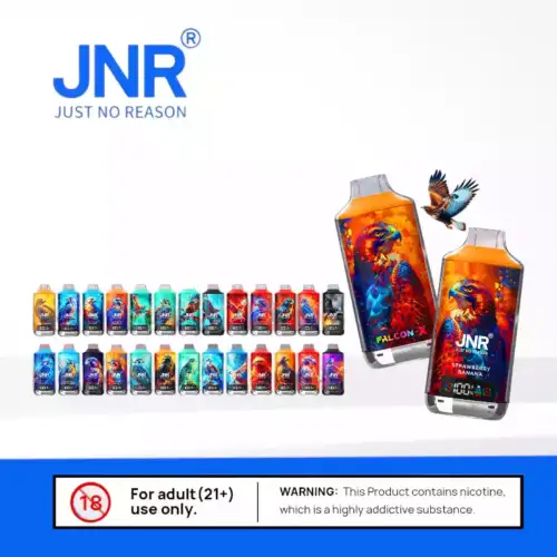 JNR Falcon-X 18000 Puff – & intensiver Geschmack Vape