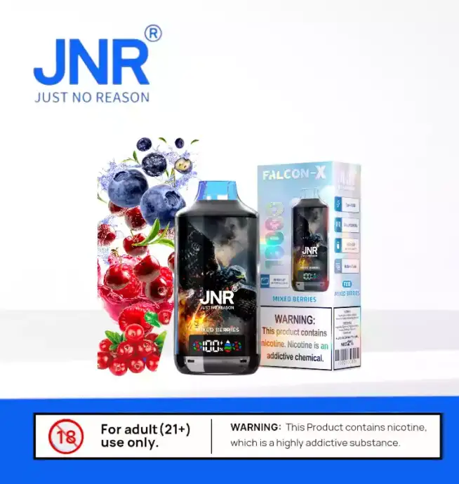 JNR Falcon-X 18000 Puff – & intensiver Geschmack Vape