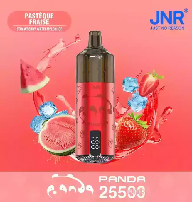 JNR Panda 25500 PUFF Einweg Vape mit LED