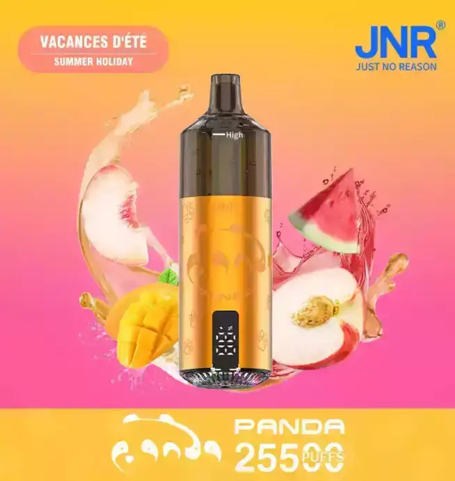 JNR Panda 25500 PUFF Einweg Vape mit LED