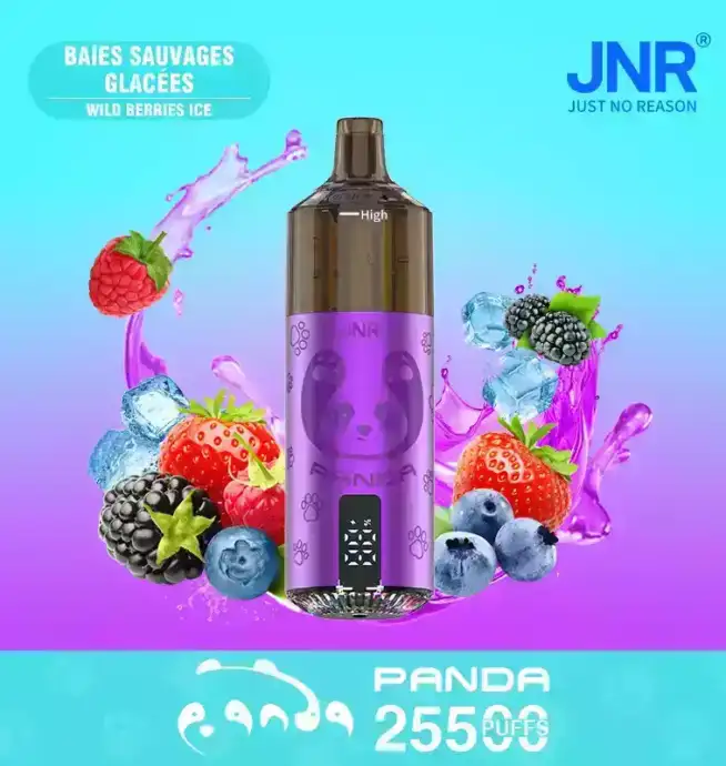 JNR Panda 25500 PUFF Einweg Vape mit LED