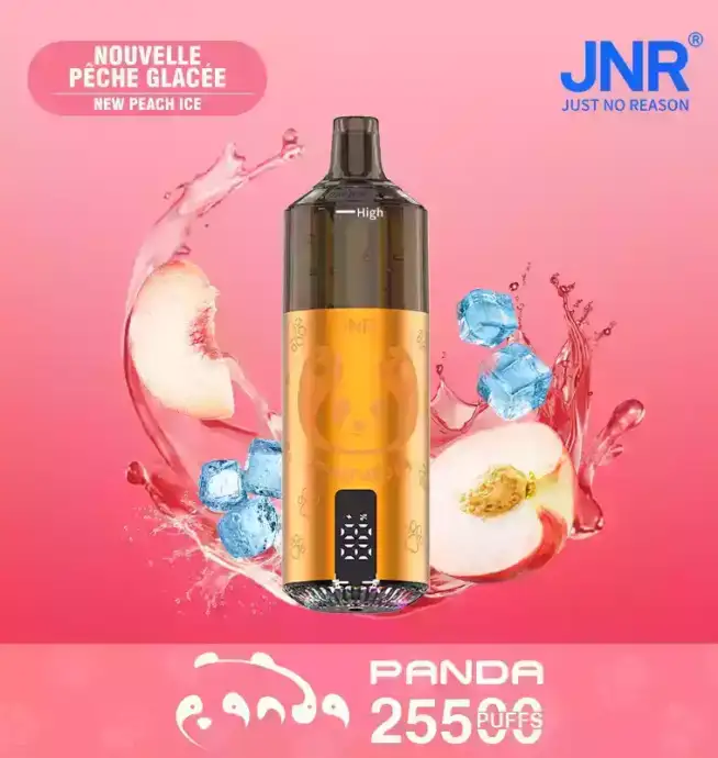 JNR Panda 25500 PUFF Einweg Vape mit LED