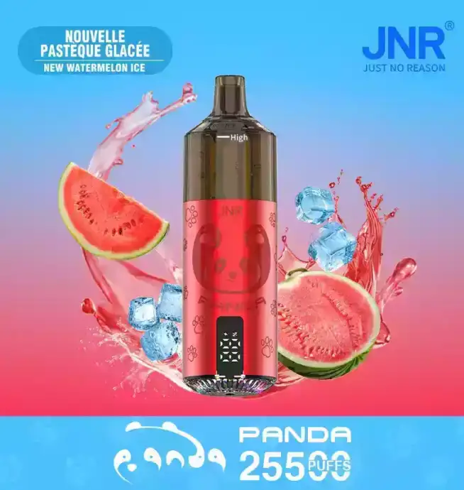 JNR Panda 25500 PUFF Einweg Vape mit LED