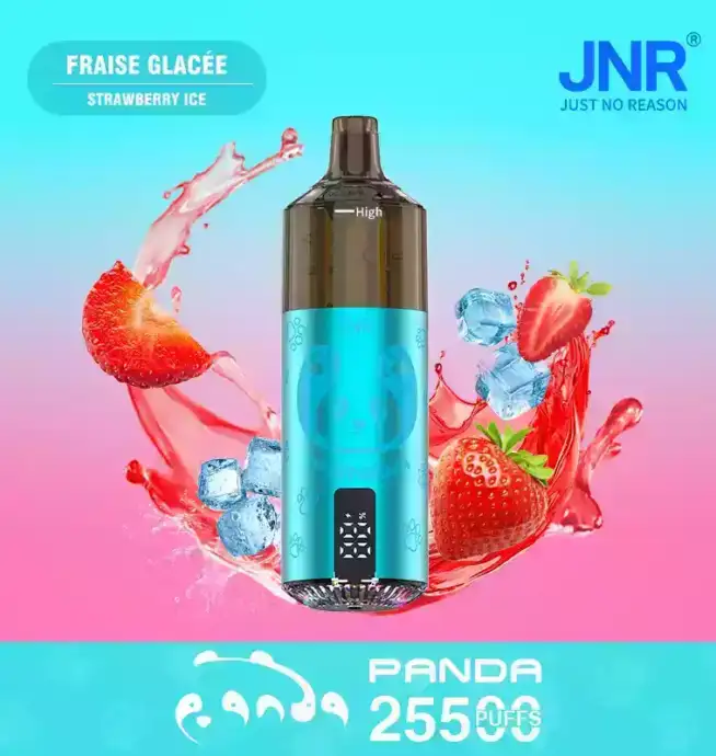 JNR Panda 25500 PUFF Einweg Vape mit LED