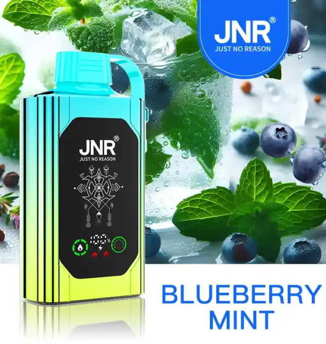 JNR Shisha Box 30000 Puff –für den ultimativen Genuss