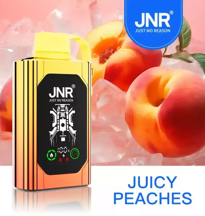 JNR Shisha Box 30000 Puff –für den ultimativen Genuss