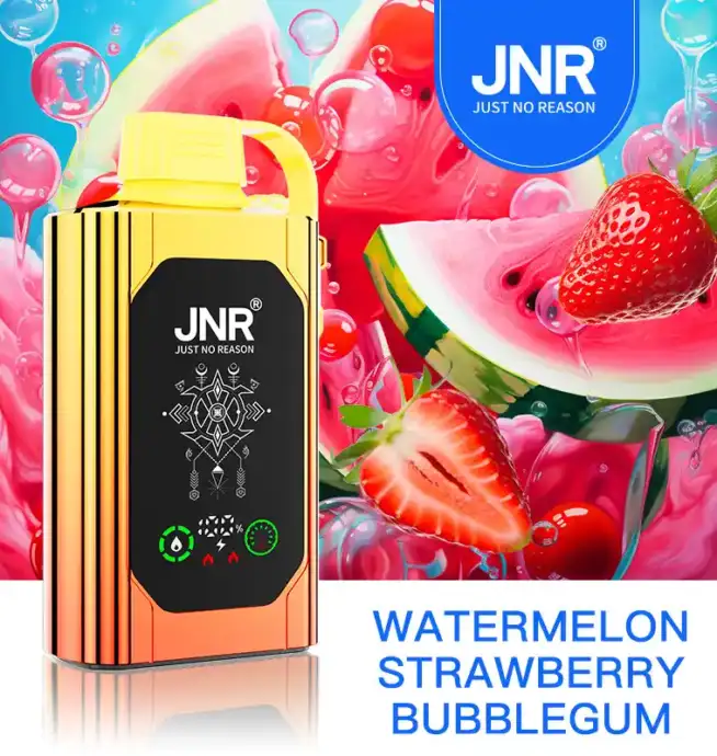 JNR Shisha Box 30000 Puff –für den ultimativen Genuss