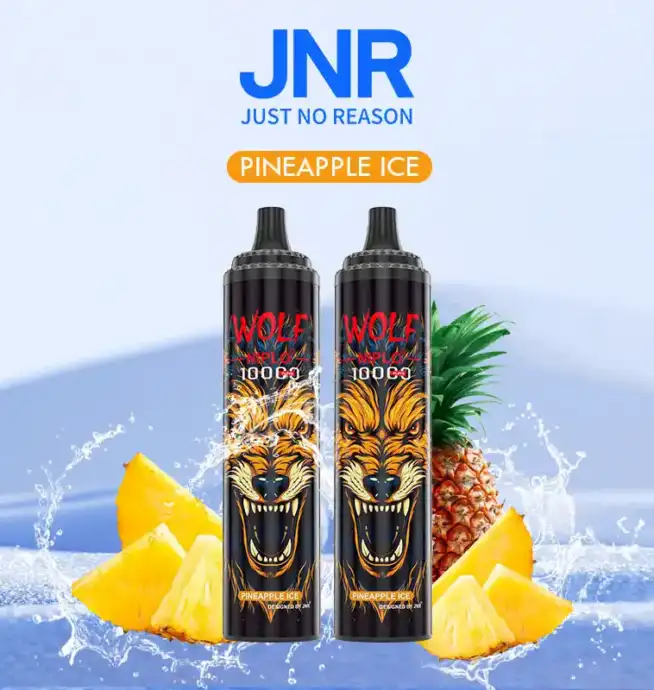 JNR Wolf 10000 Puff und intensiver Geschmack Vape