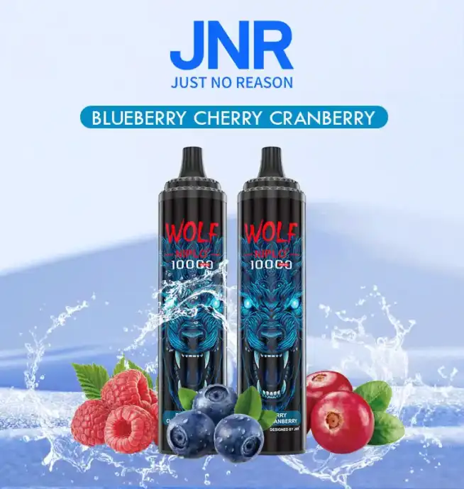 JNR Wolf 10000 Puff und intensiver Geschmack Vape
