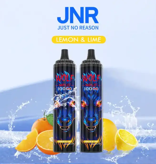 JNR Wolf 10000 Puff und intensiver Geschmack Vape