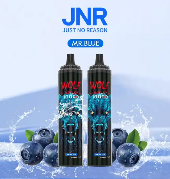 JNR Wolf 10000 Puff und intensiver Geschmack Vape