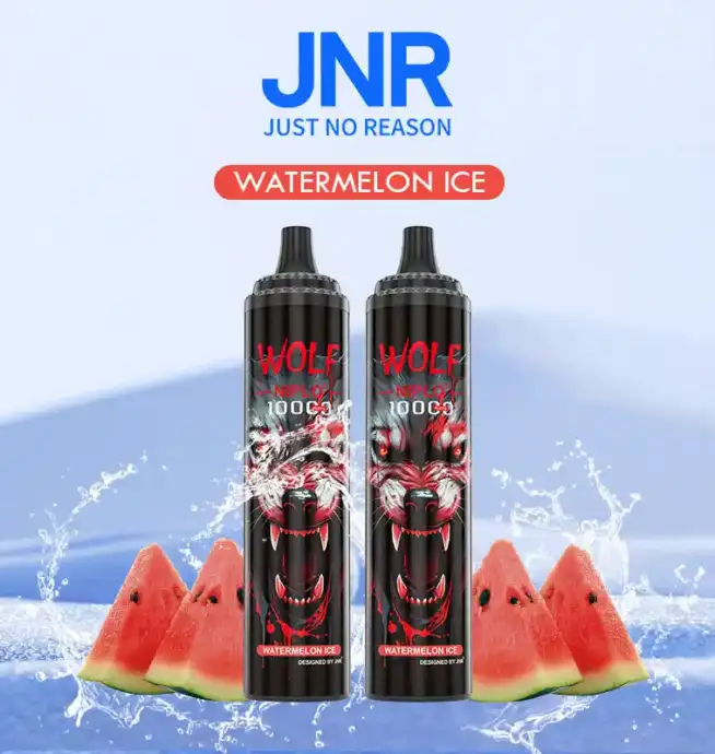 JNR Wolf 10000 Puff und intensiver Geschmack Vape