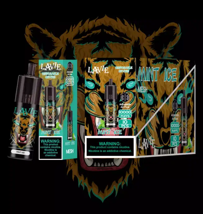 LAVIE OCO OC10000 Puffs – Intensive Vapes in Stil