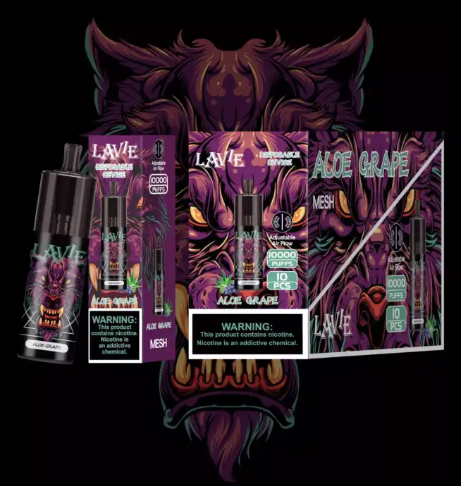 LAVIE OCO OC10000 Puffs – Intensive Vapes in Stil