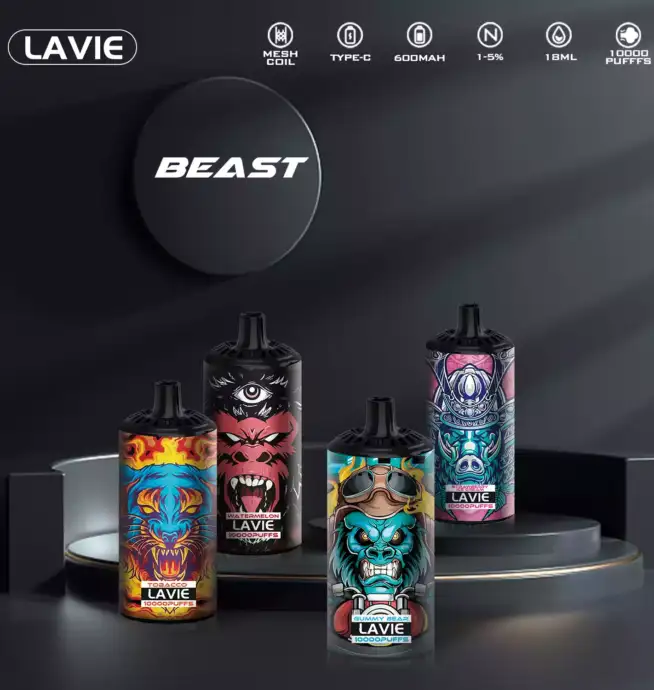 Lavie Rockt 10000 Puffs Einweg E-Zigarette
