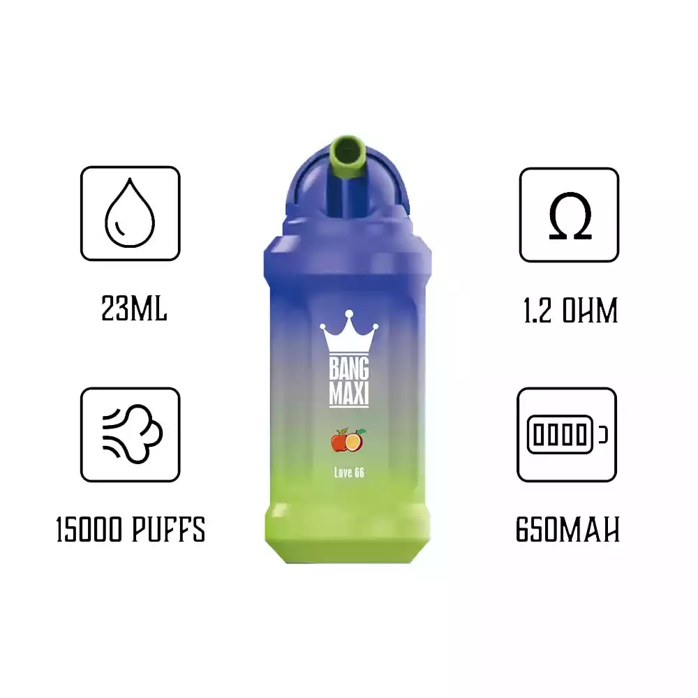 Bang 15000 Puffs Einweg E-Zigarette