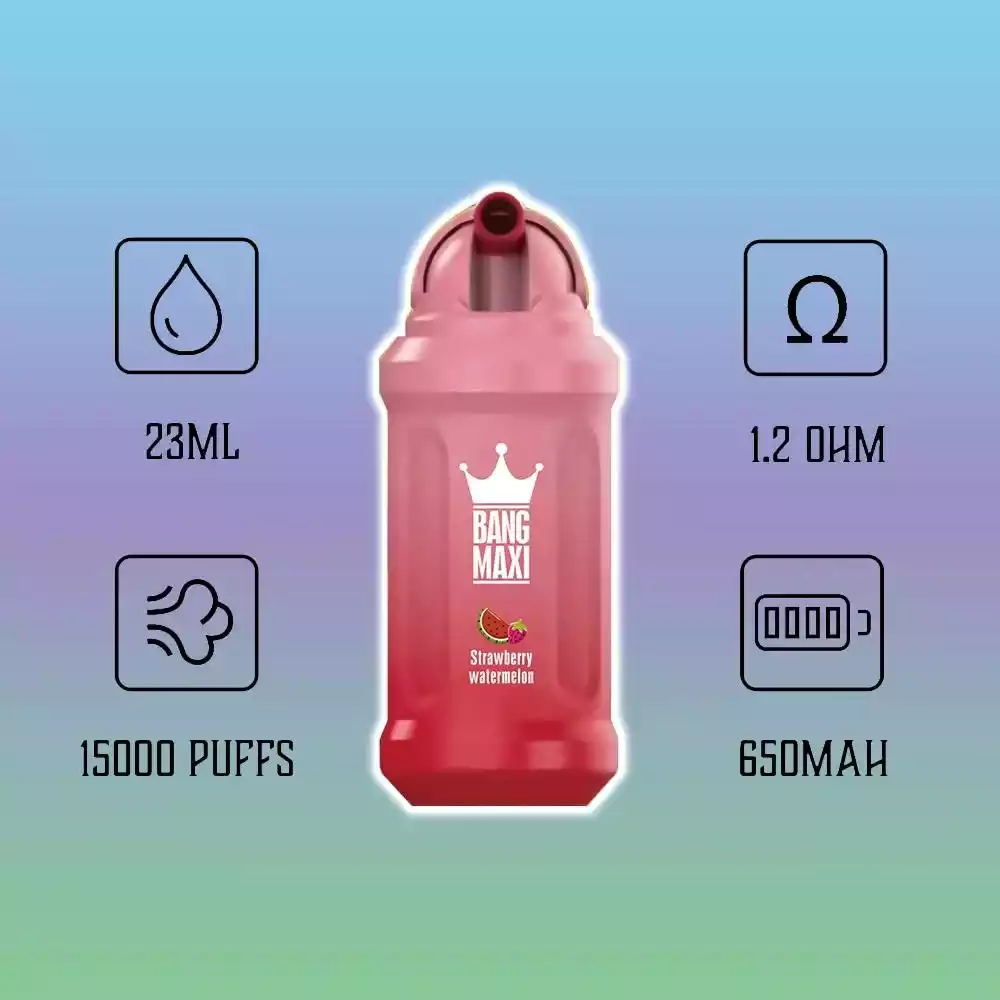 Bang 15000 Puffs Einweg E-Zigarette