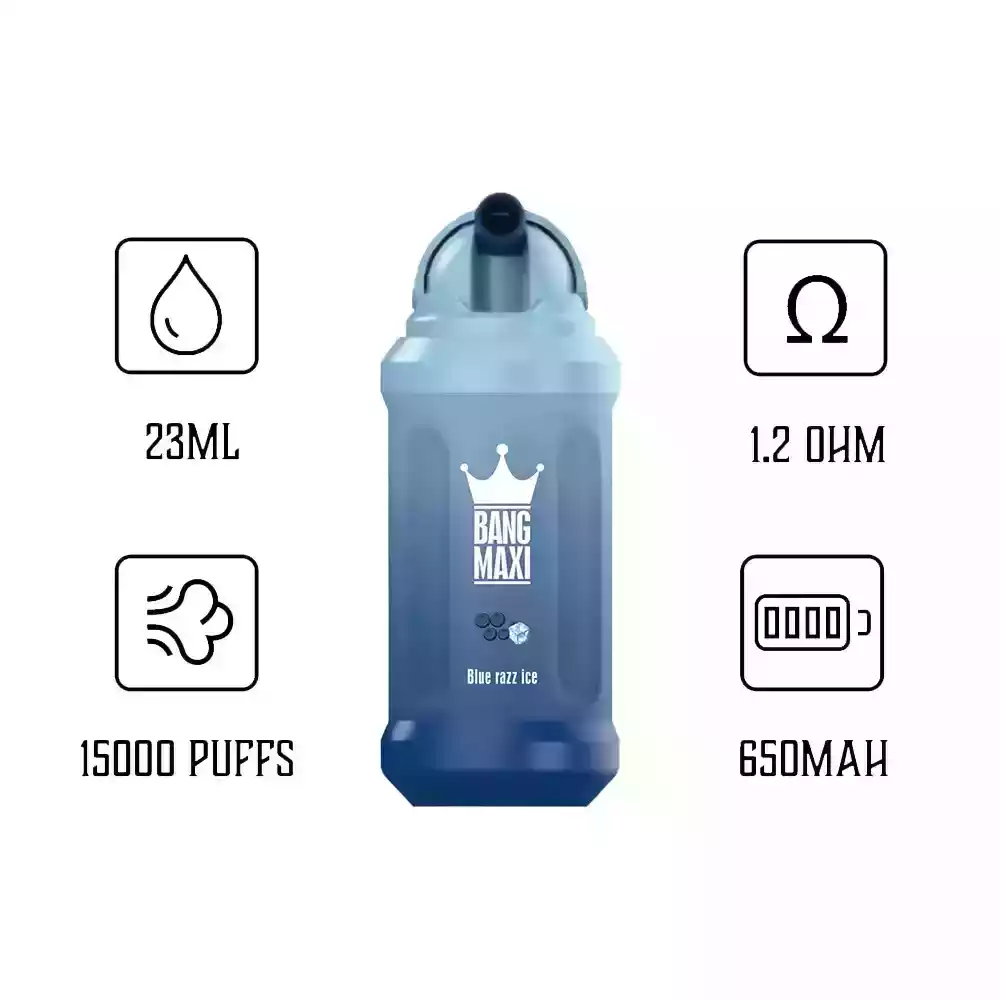 Bang 15000 Puffs Einweg E-Zigarette