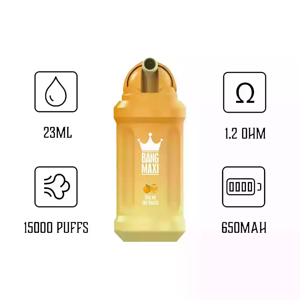 Bang 15000 Puffs Einweg E-Zigarette