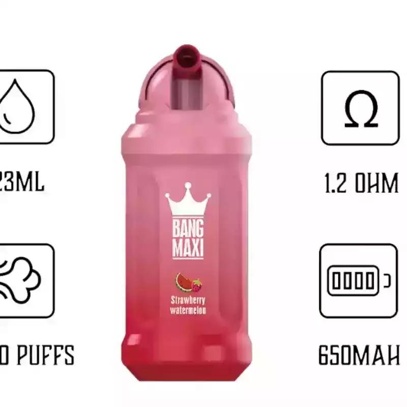 Bang 15000 Puffs Einweg E-Zigarette