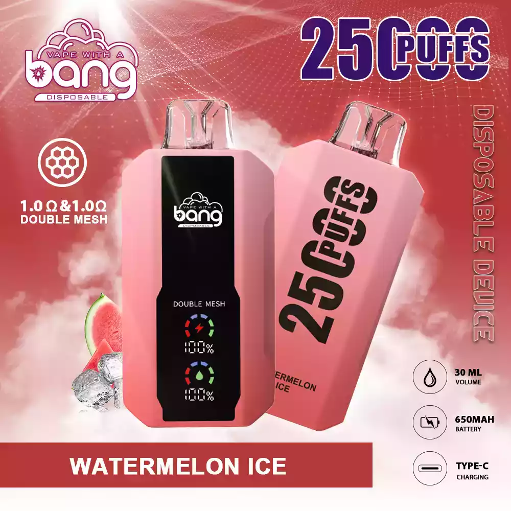 Bang 25000 Puffs Full Screen