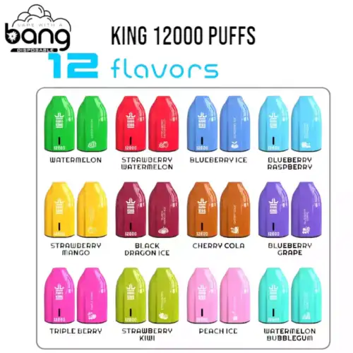 Bang King 12000 Puffs kaufen Vape