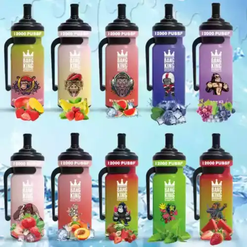 Bang TN 12000 Puffs Mesh Coil Genuss